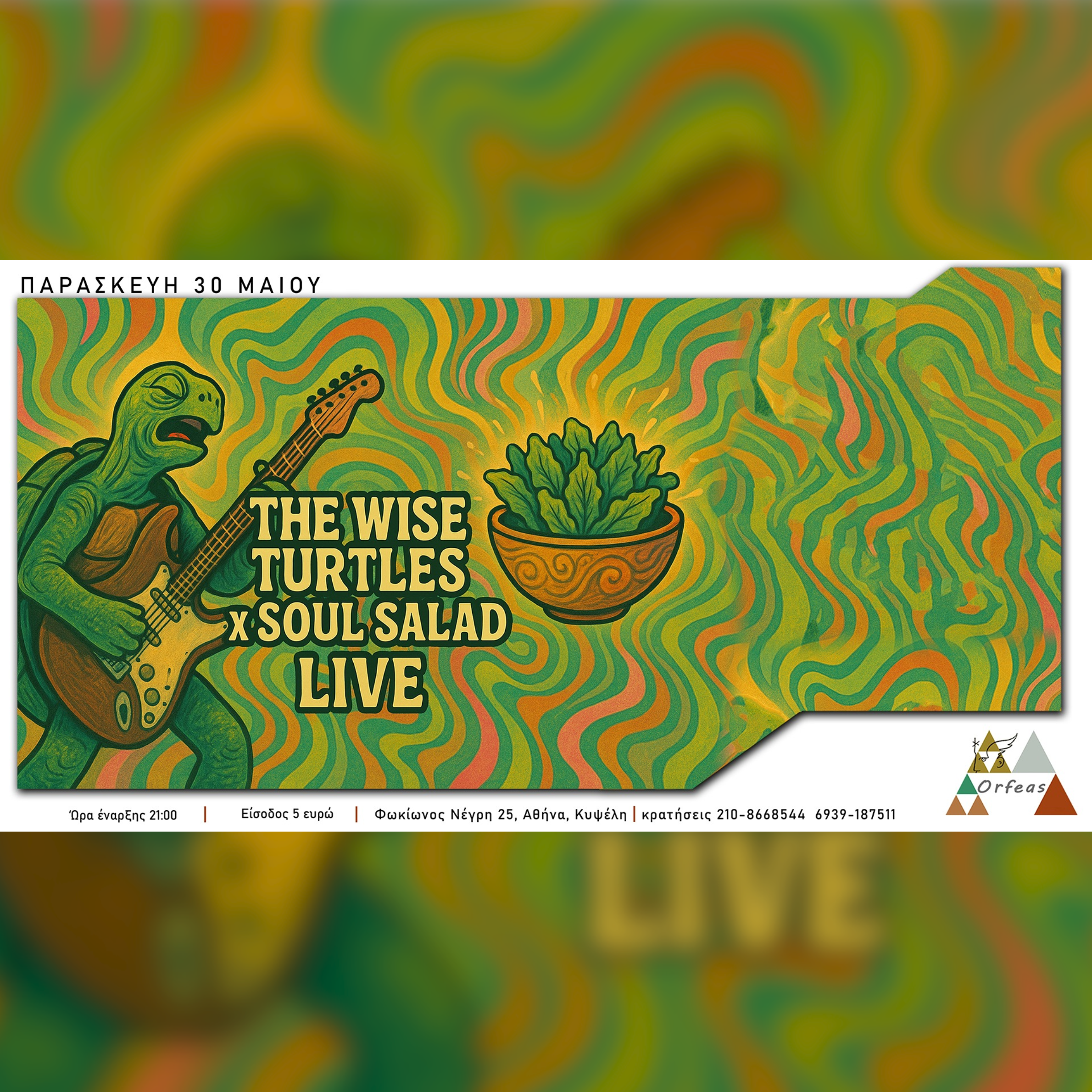 Thw White Turtes x Soul Salad